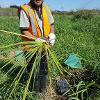 Tipu McGregor, Kaumatua and eldest grandson of Te One McGregor